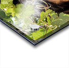 World9 Acrylic print