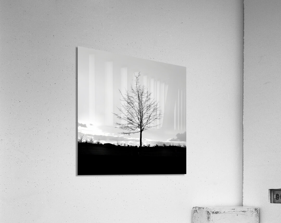BW 14 Acrylic Print