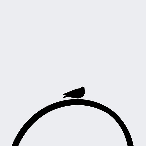 Minimalist Bird gris Print