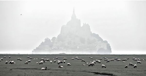 Mont Saint Michel France Print