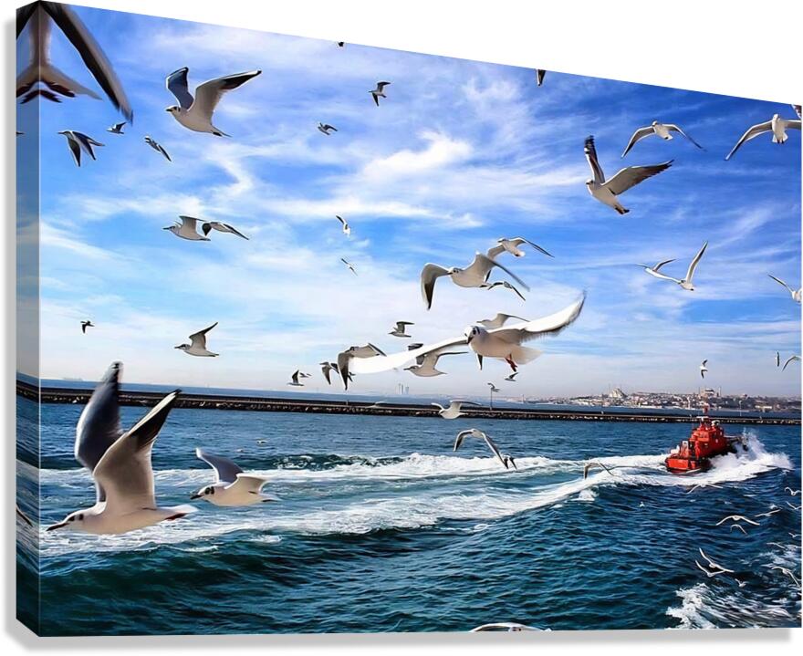 World13 Canvas Print