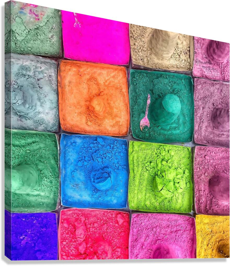 World16 Canvas Print