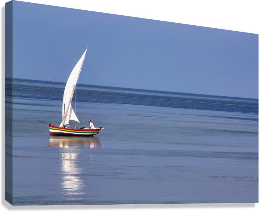 World11 Canvas Print