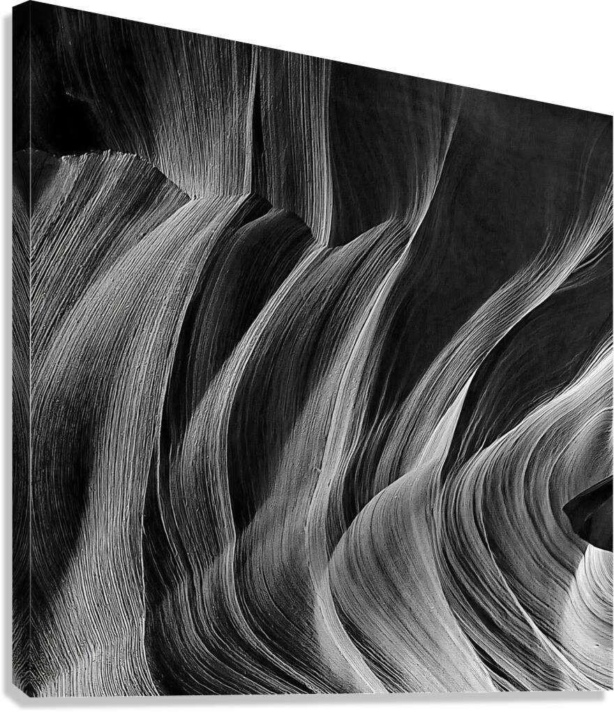 BW 29 Canvas Print