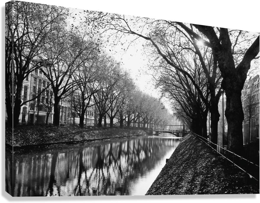 BW 16 Canvas Print