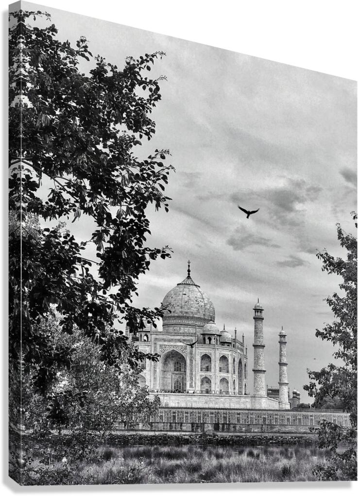 BW 12 Canvas Print