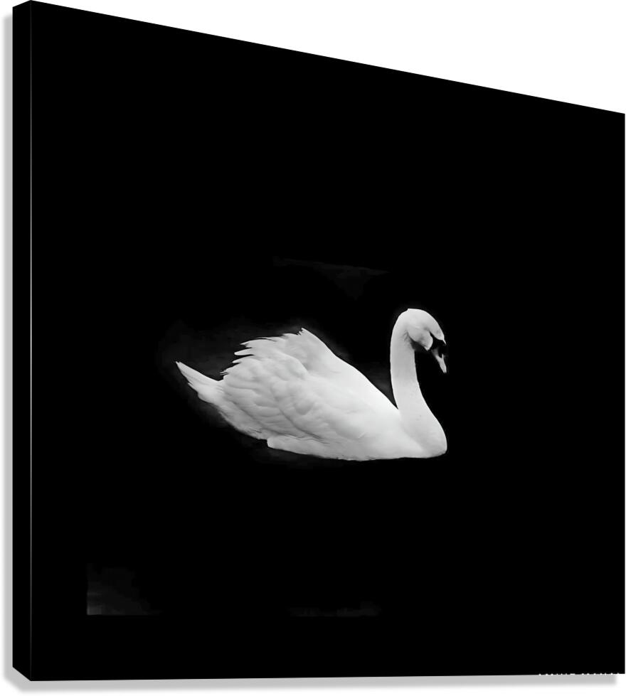Lac des cygnes Canvas Print