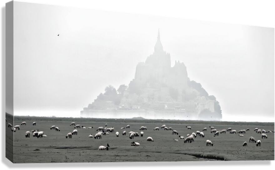 Mont Saint Michel France Canvas Print