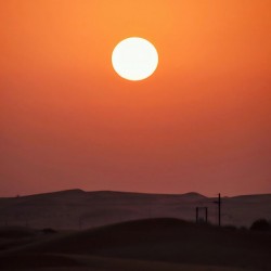 Desert sunset
