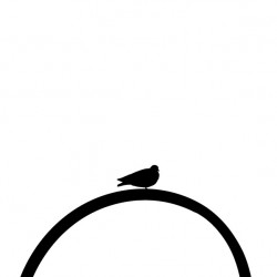 Minimal Bird