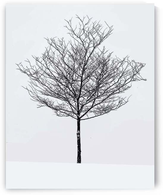 Snow white by Eddy Tales