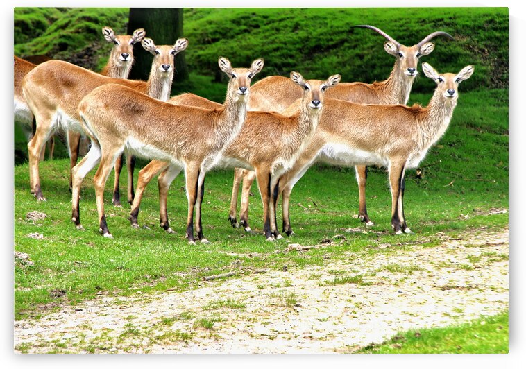 Look at me by Eddy Tales