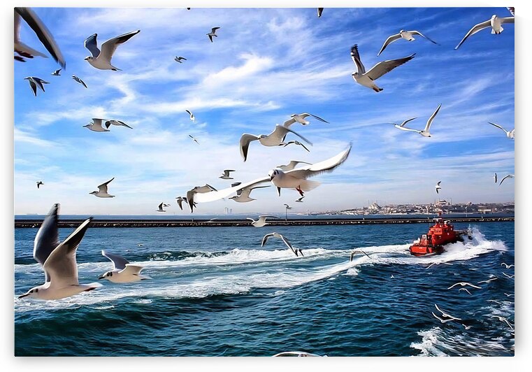 World13 by Eddy Tales