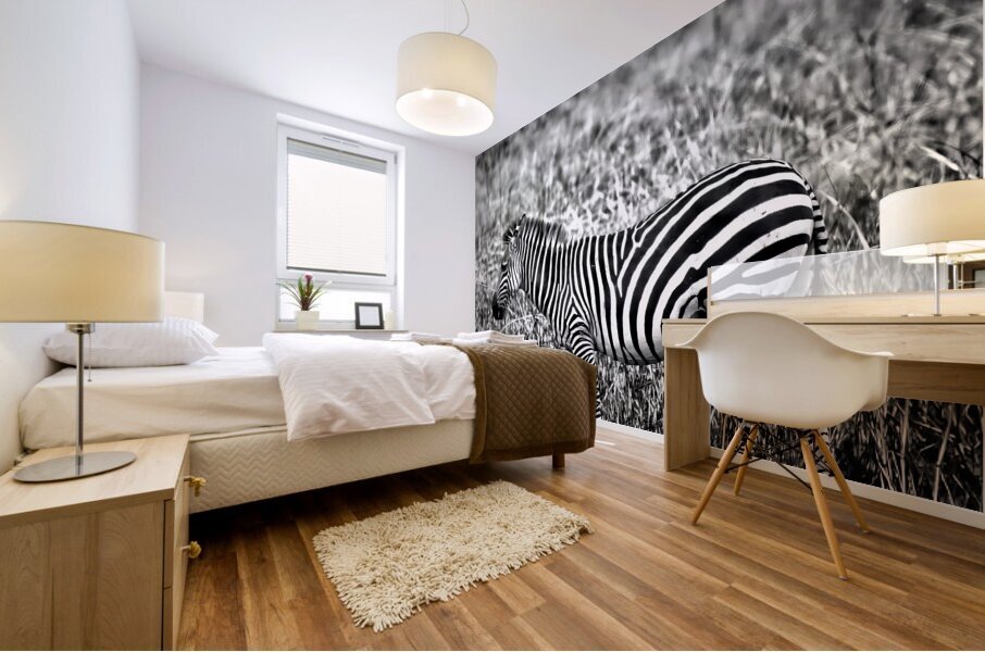 Zebra Mural print