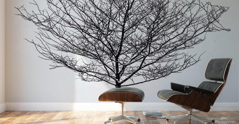 Snow white Wall Murals