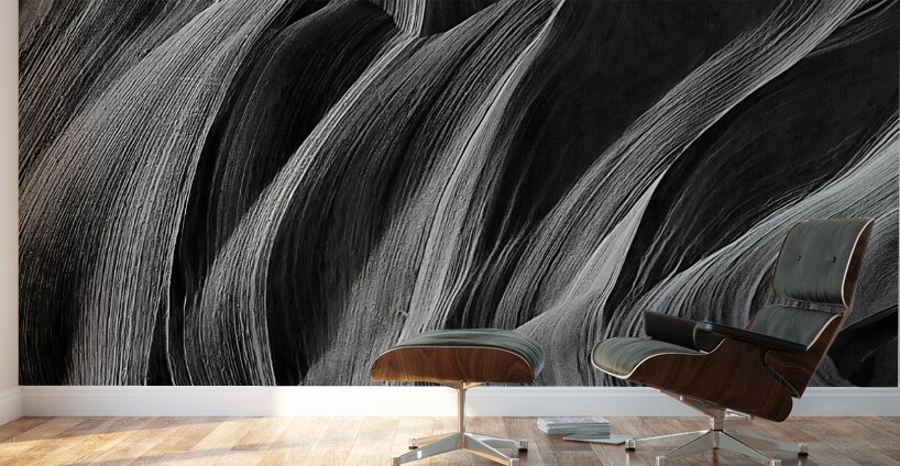 BW 29 Wall Murals