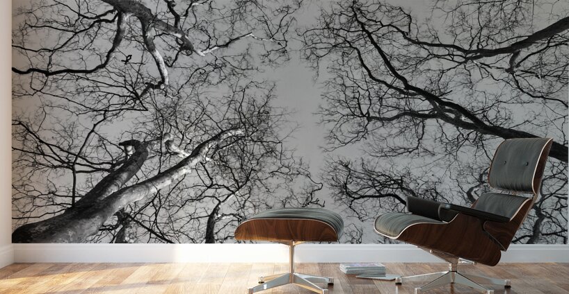 BW 4 Wall Murals