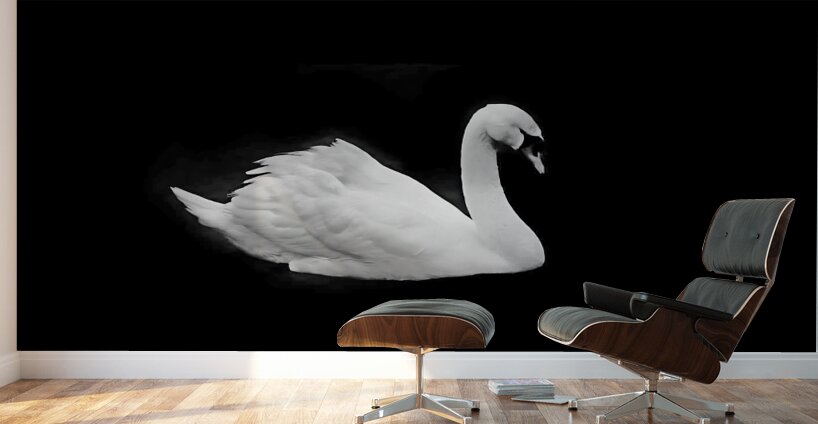 Lac des cygnes Wall Murals