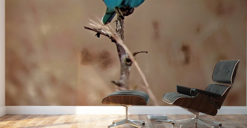 African bird Wall Murals