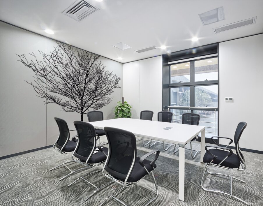 Snow white Wall Printing