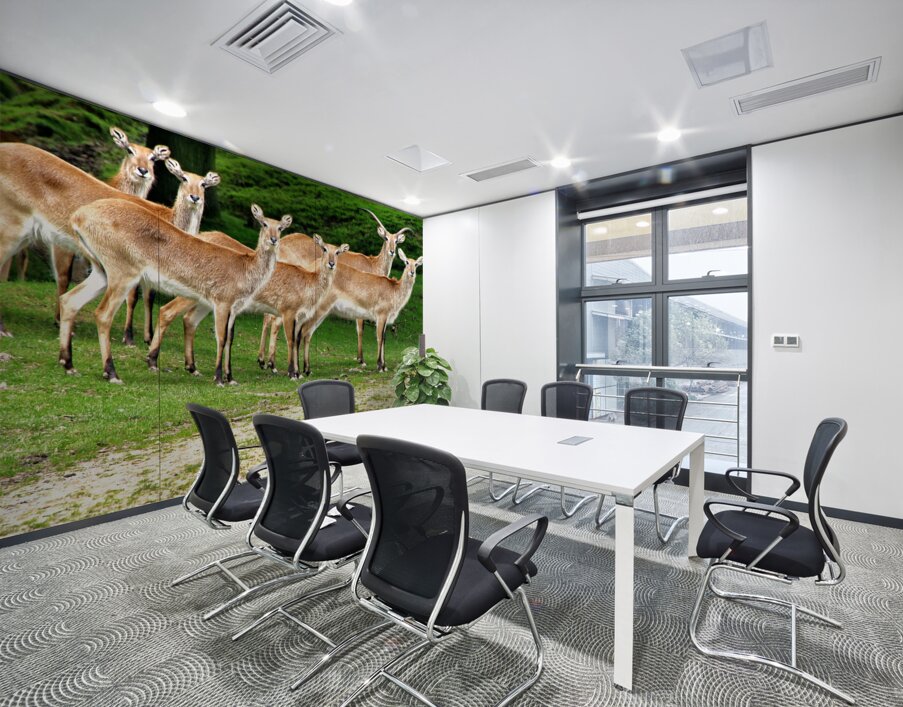 Look at me Wall Printing