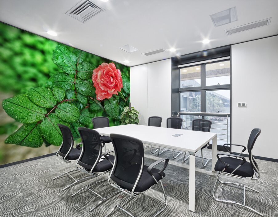 World6 Wall Printing