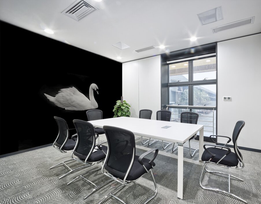 Lac des cygnes Wall Printing