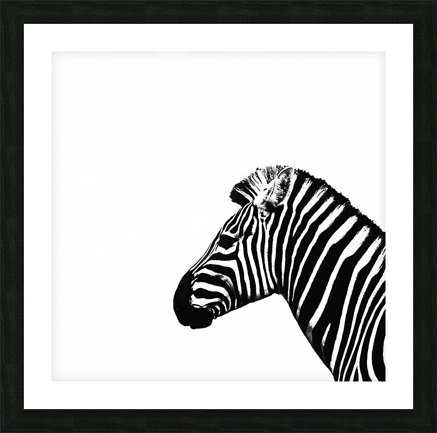 BW 27 Picture Frame print