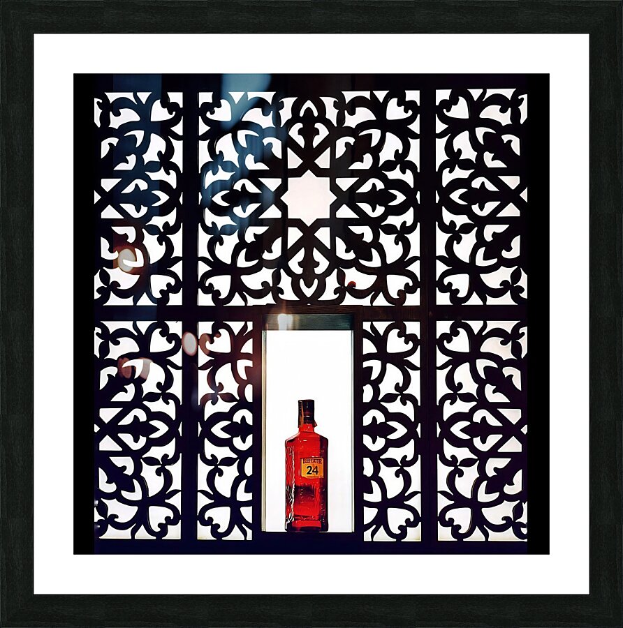 BW 30 Picture Frame print