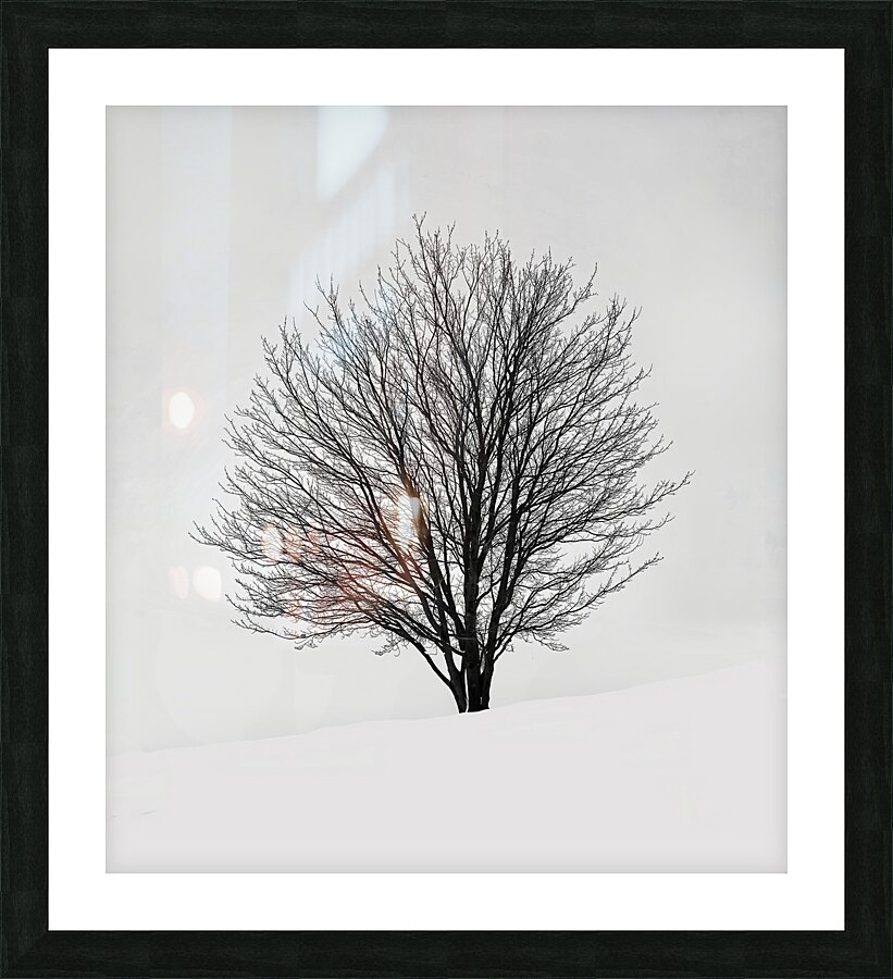 BW 15 Picture Frame print