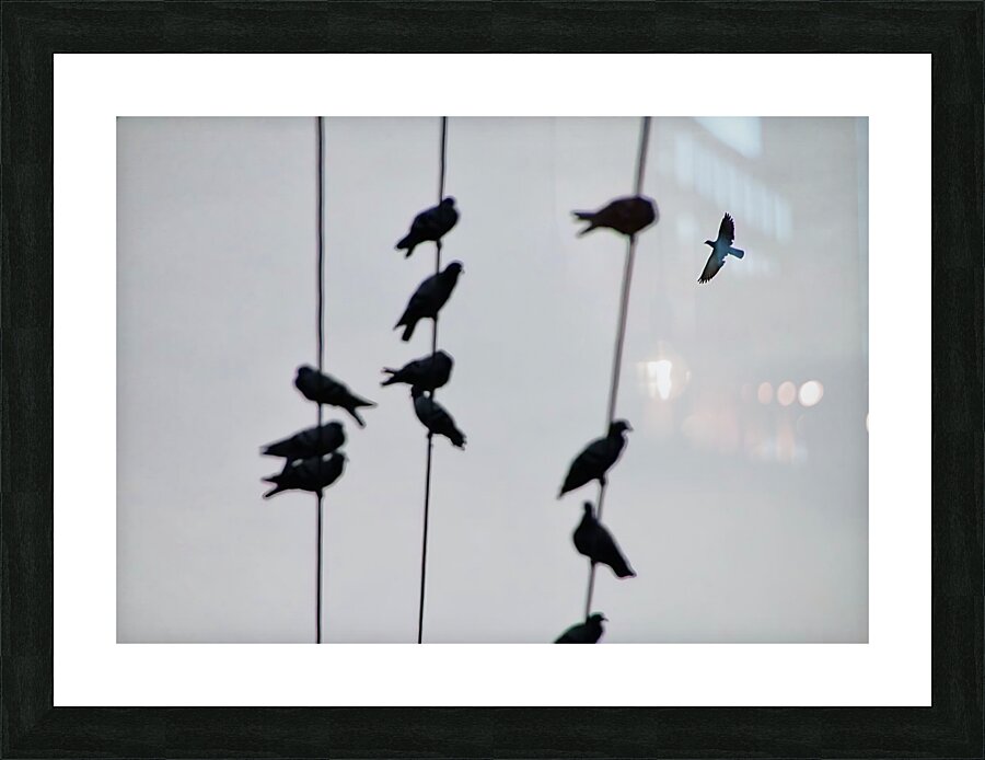 BW 1 Picture Frame print