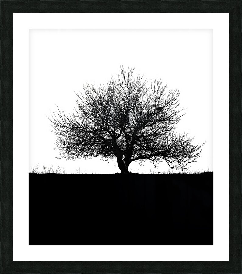 BW 31 Picture Frame print