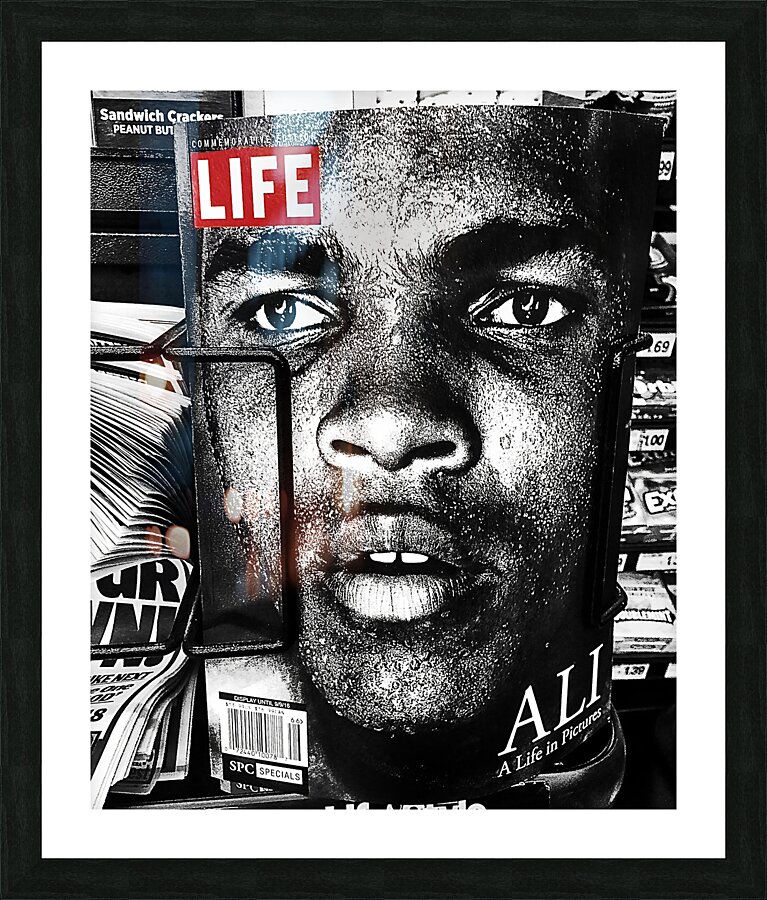 BW 19 Picture Frame print