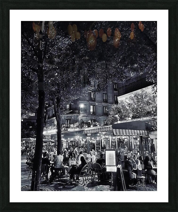 BW 25 Picture Frame print