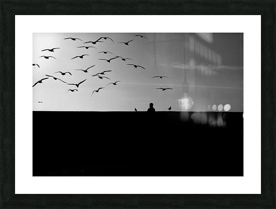 BW 21 Picture Frame print