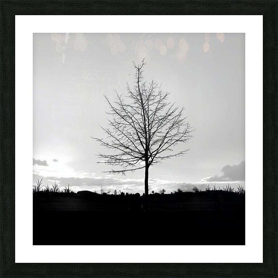 BW 14 Picture Frame print