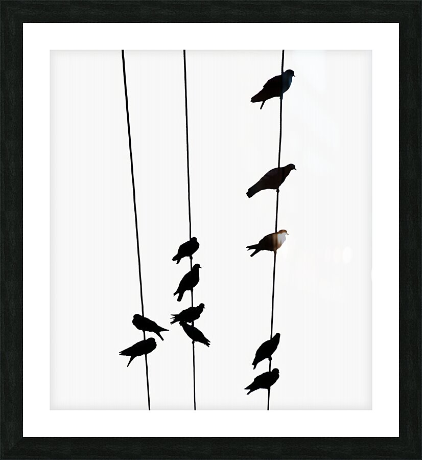 BW 8 Picture Frame print