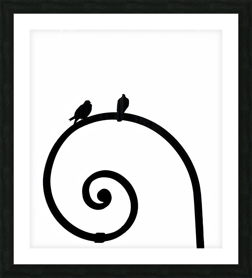 Duo Picture Frame print