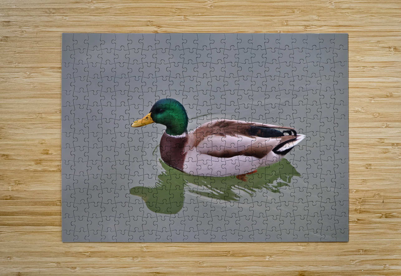 Colvert Eddy Tales Puzzle printing
