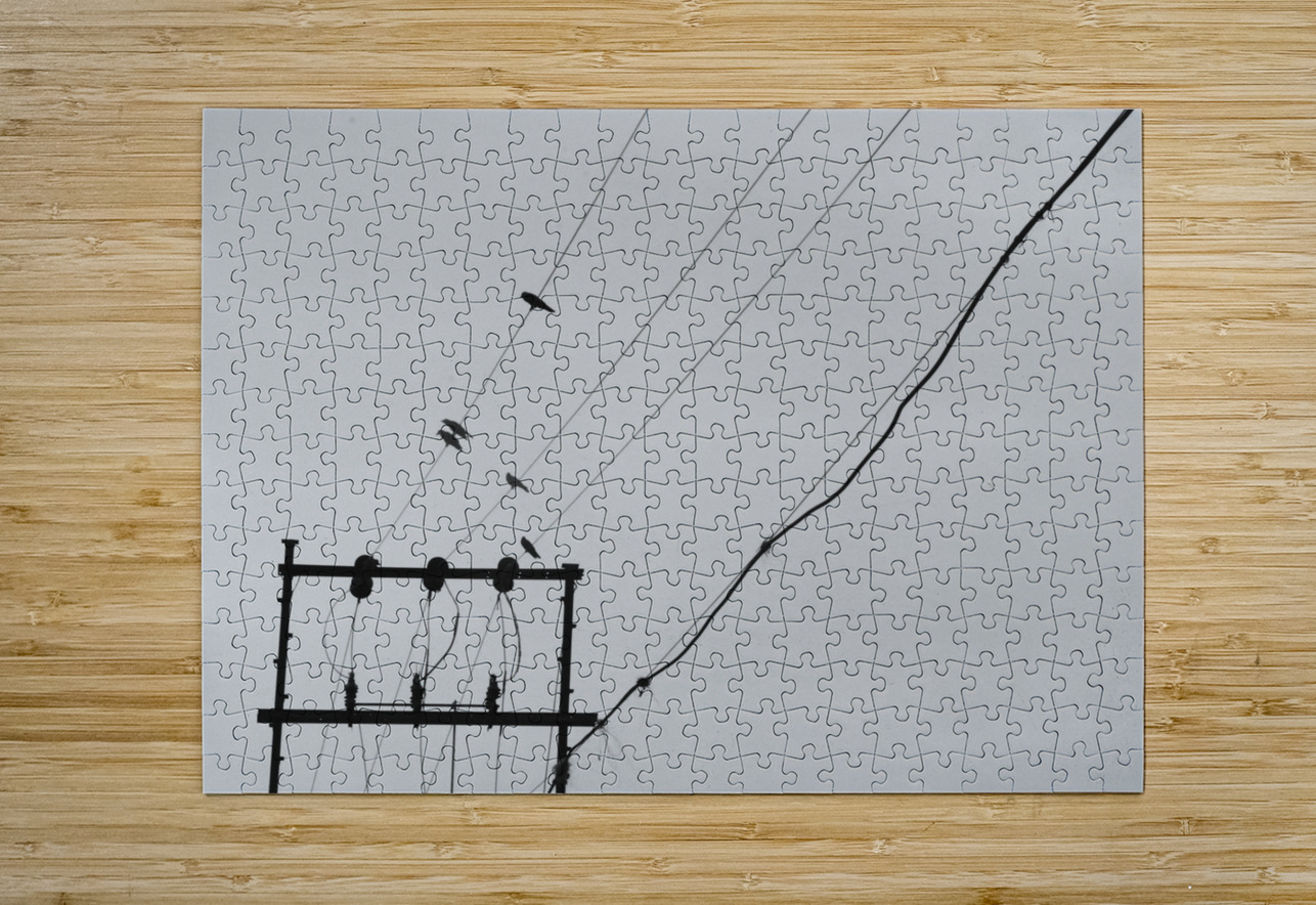 BW 20 Eddy Tales Puzzle printing