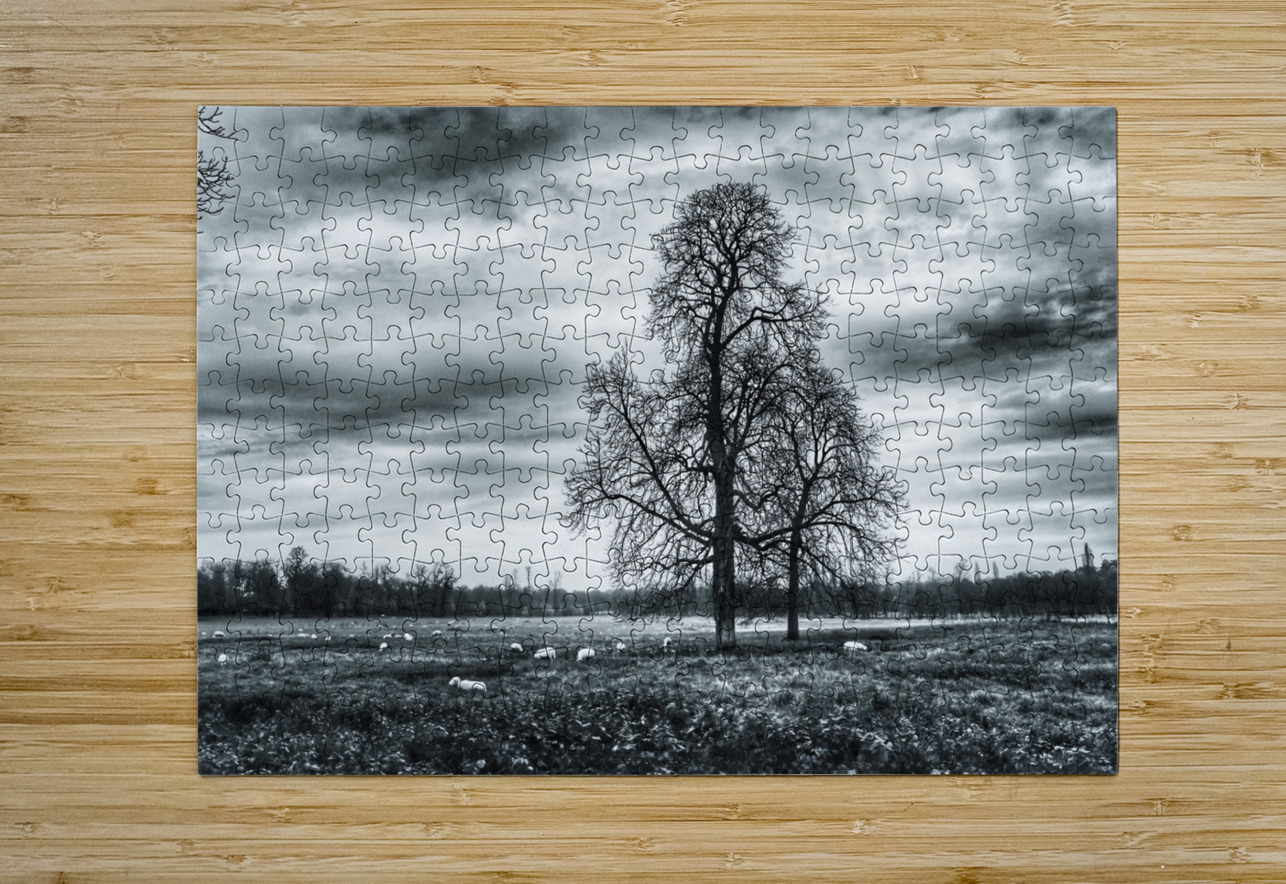 BW 5 Eddy Tales Puzzle printing