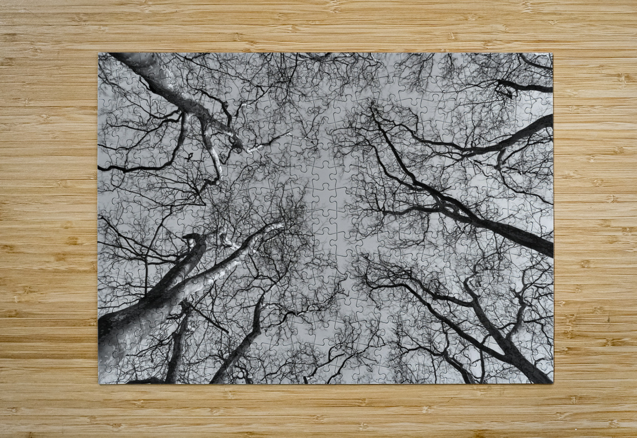 BW 4 Eddy Tales Puzzle printing