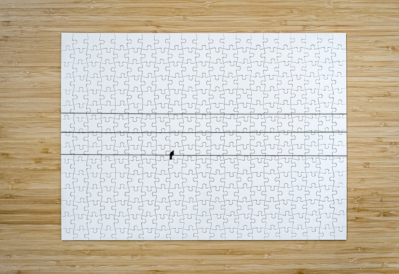 BW 17 Eddy Tales Puzzle printing