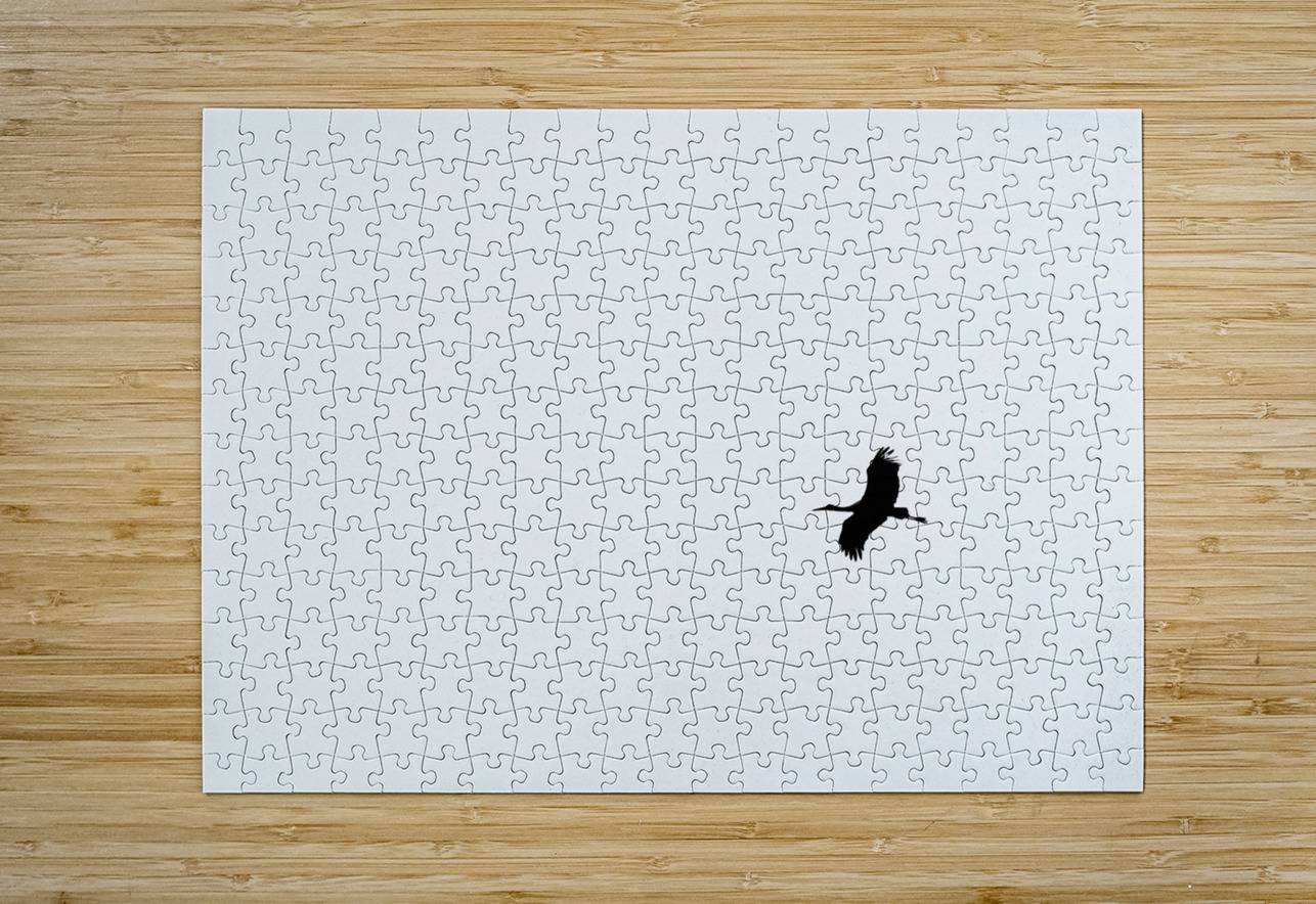 BW 18 Eddy Tales Puzzle printing