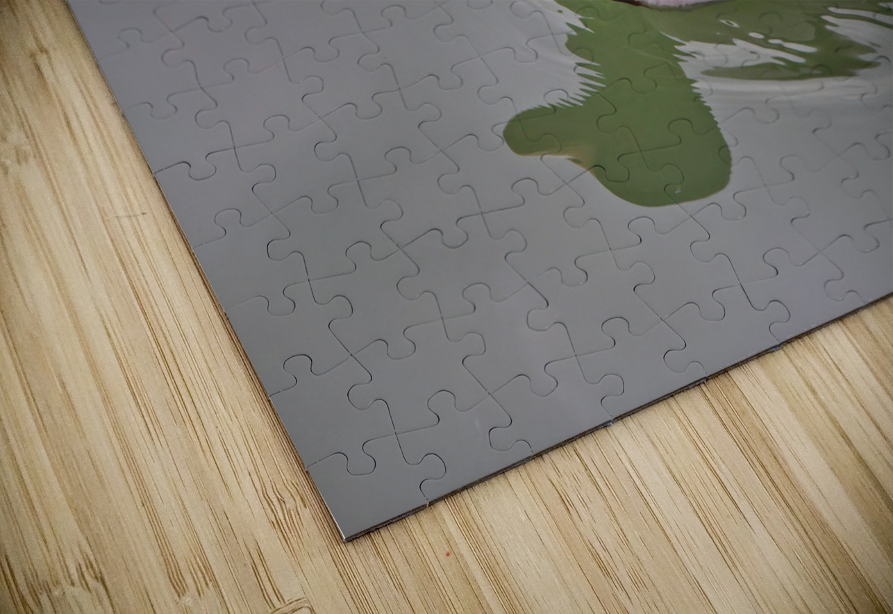 Colvert Eddy Tales Puzzle