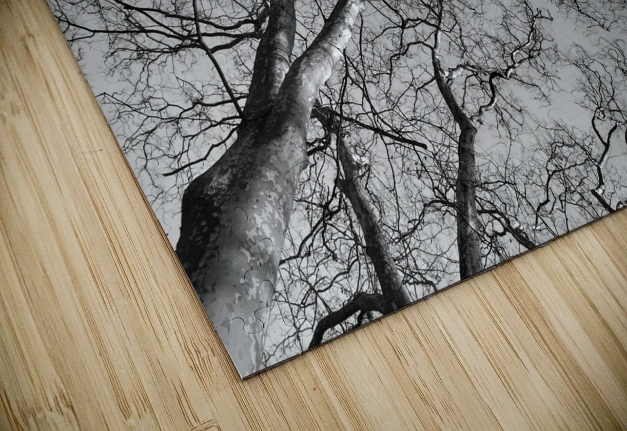 BW 4 Eddy Tales Puzzle