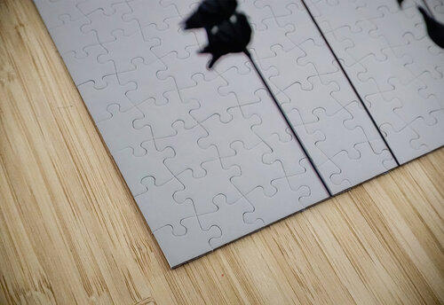 BW 1 Eddy Tales puzzle