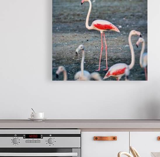 cigogne by Eddy Tales