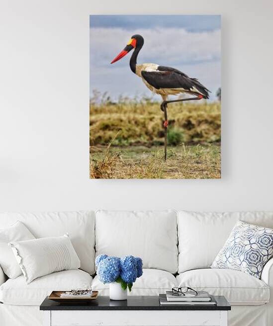 Africa by Eddy Tales