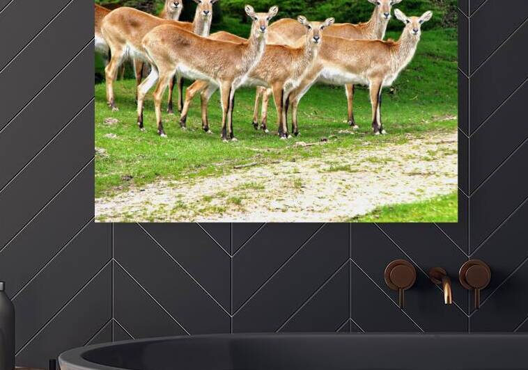 Look at me by Eddy Tales